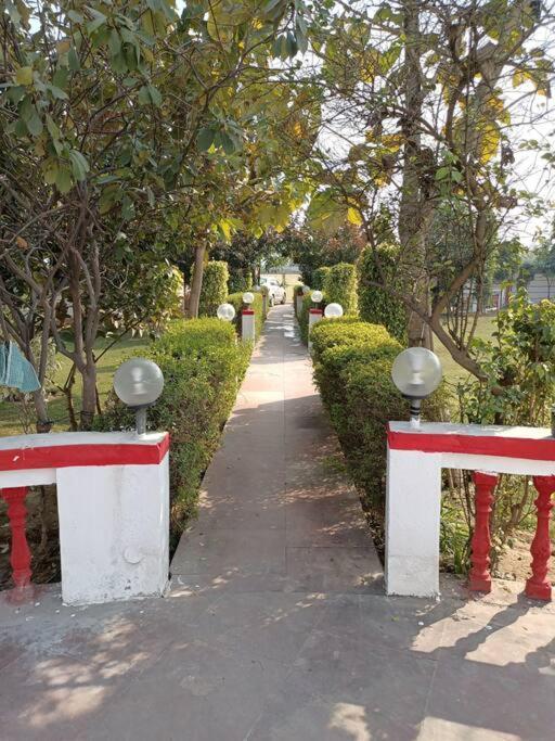 Villa Achal Farm जंगल में मंगल Gurgaon Exterior foto
