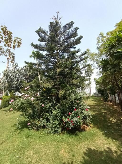 Villa Achal Farm जंगल में मंगल Gurgaon Exterior foto